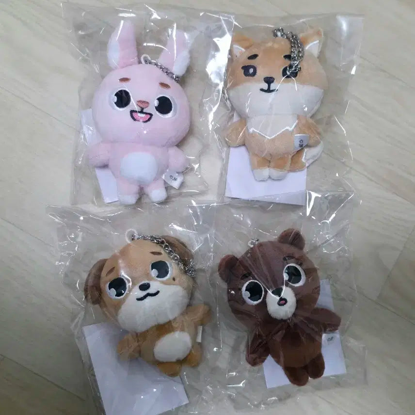 데이식스 데니멀즈 백참 일괄