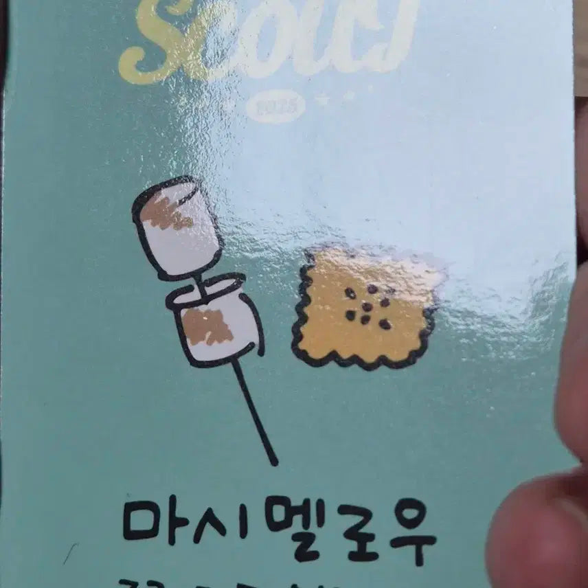아이브 팬콘 다이브존 2일차 레이판매
