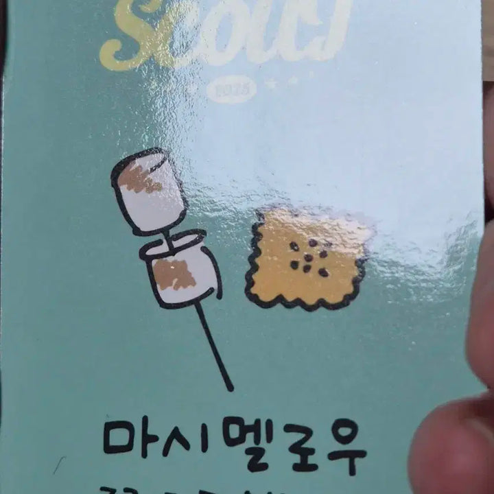 아이브 팬콘 다이브존 2일차 레이판매