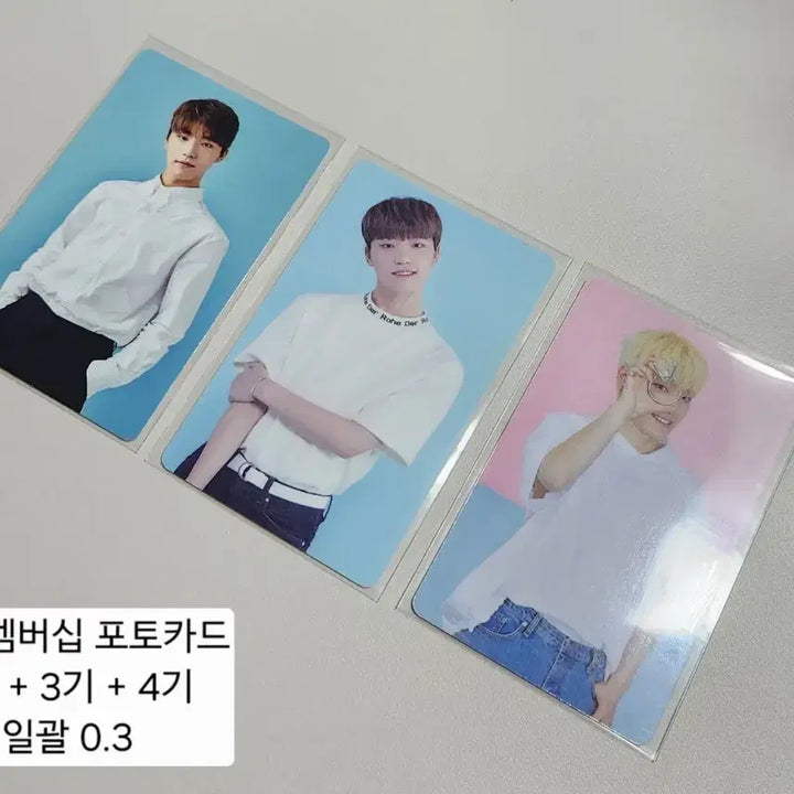 세븐틴 디노 캐럿 멤버십 2기 3기 4기 포카 일괄 양도 원우 정한 특전