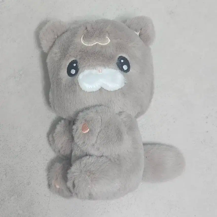 꼼타로 인형 팔아요! 라이즈 쇼타로