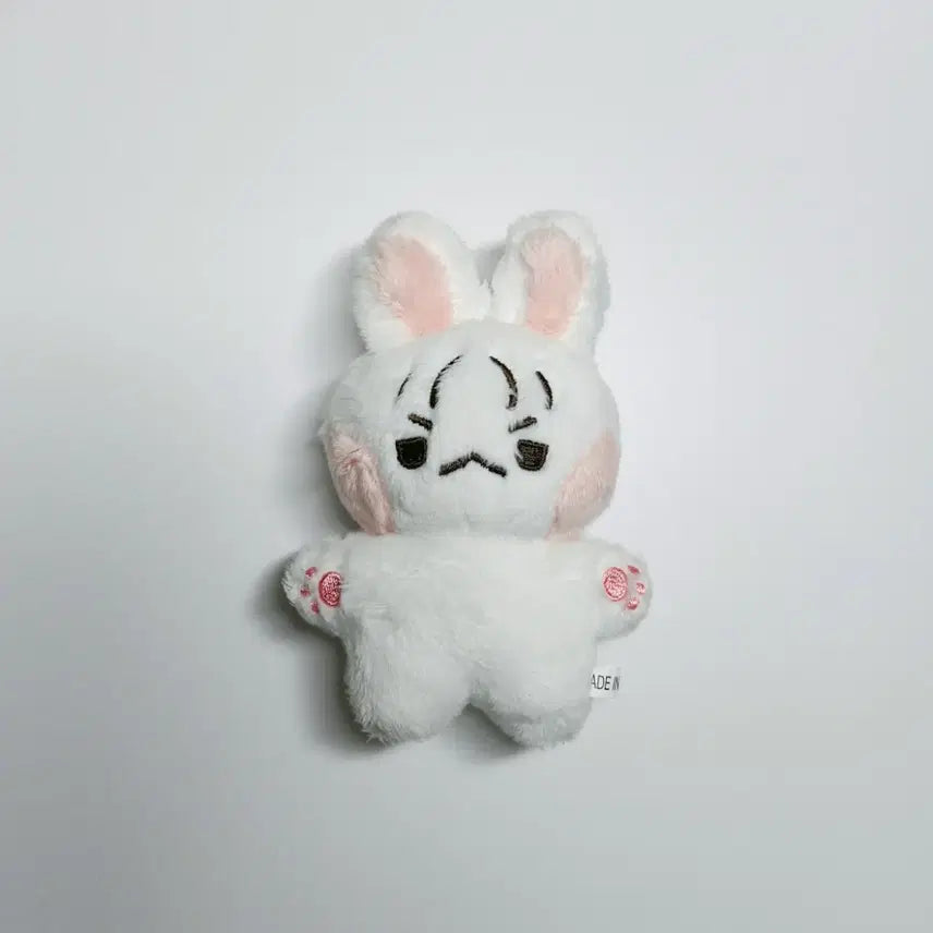 (택포)비투비 이창섭 10cm 인형 섭깽이 양도