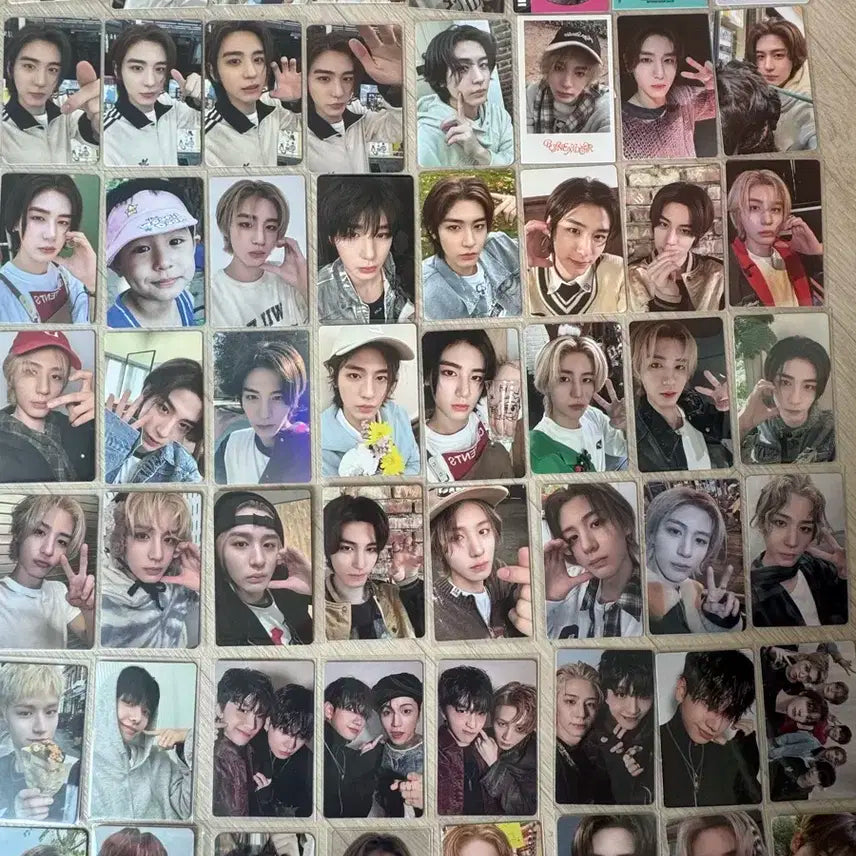 보넥도 포카 일괄