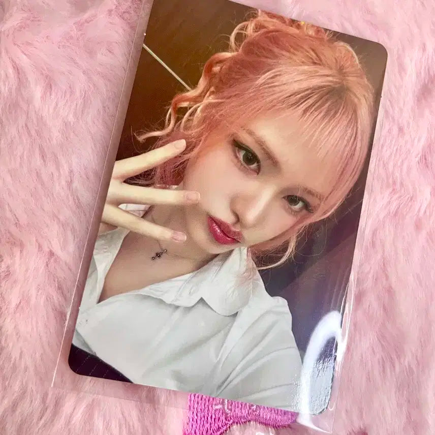 당일발송)아이브 리즈 포카 초회 한정판 E버전 비얼라잇 bealright