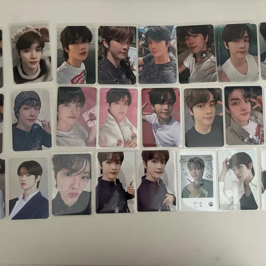 라이즈 성찬 포카 양도 처분