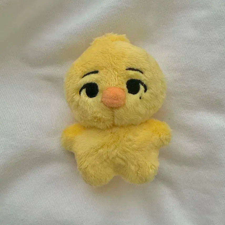 비아이 B.I 칰빈이 인형 양도 판매