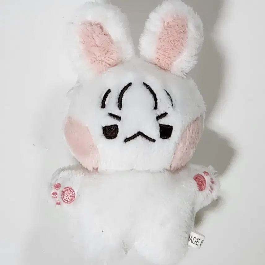 !! 비투비 이창섭 인형 섭깽이 !! 서은광이민혁임현식프니엘육성재포카