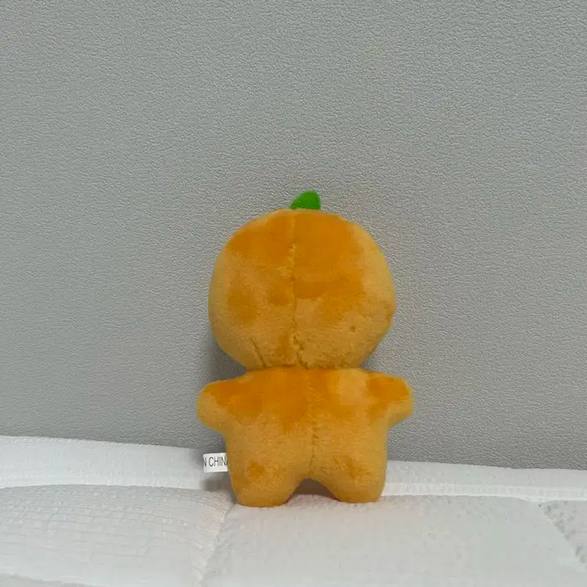 부금귤 뿌금귤 부라봉 부승관 인형 세븐틴 양도