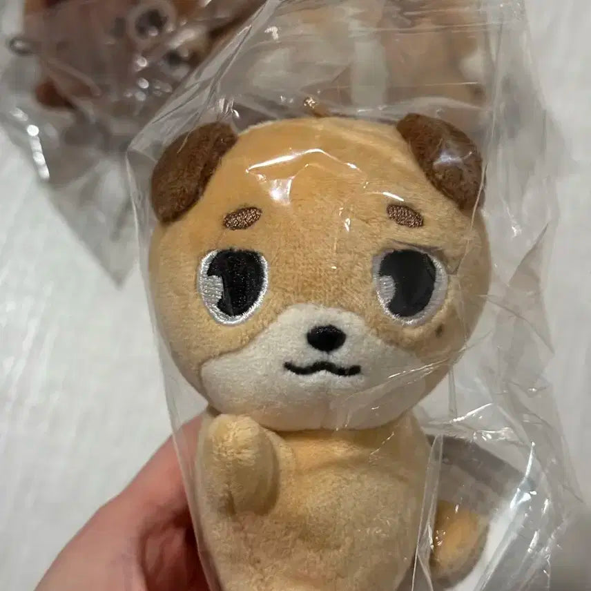 데니멀즈 손난로 인형 방케돈 뜨멀 데이식스