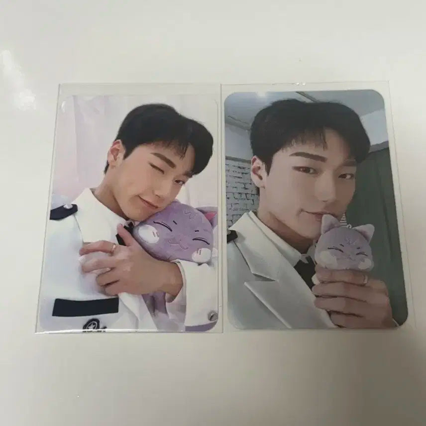 일괄) 에이티즈 산 애니티즈 팝업 인형 포카
