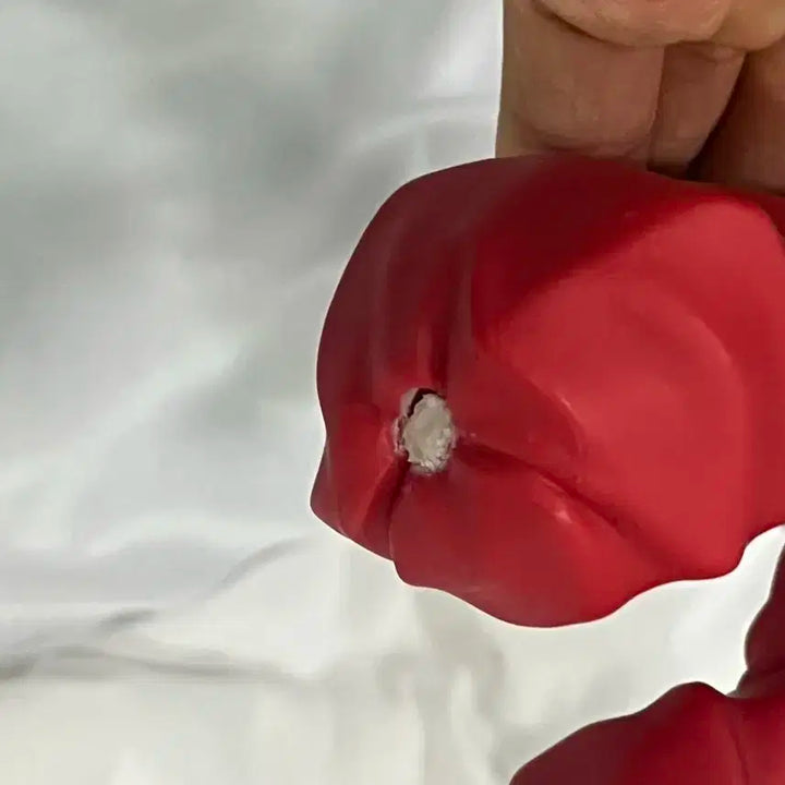 이누야샤, 셋쇼마루 피규어