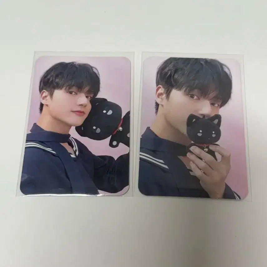 일괄) 에이티즈 우영 애니티즈 팝업 인형 포카