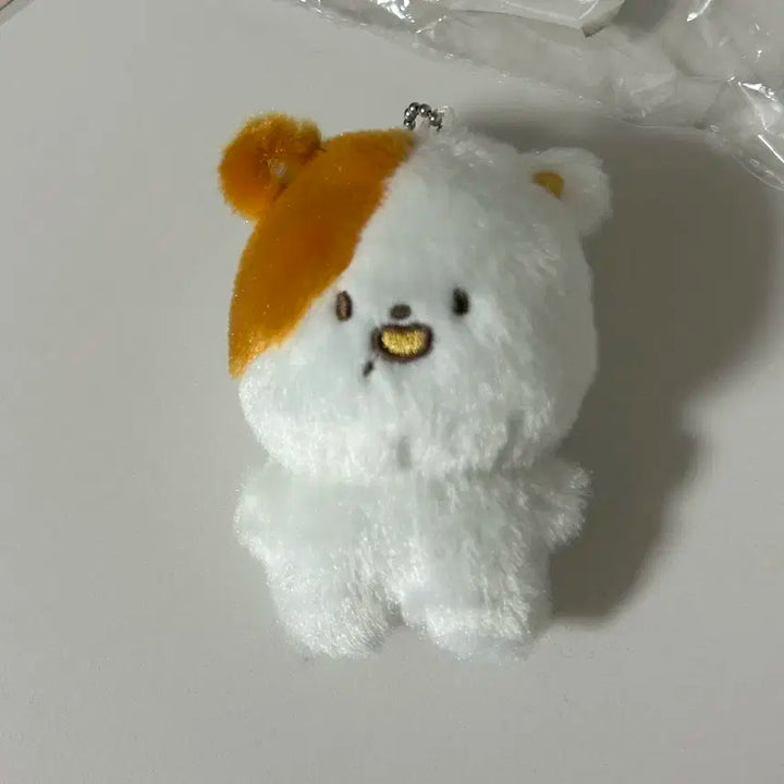 엔시티 지성 포켓찌 꼼찌 일괄양도