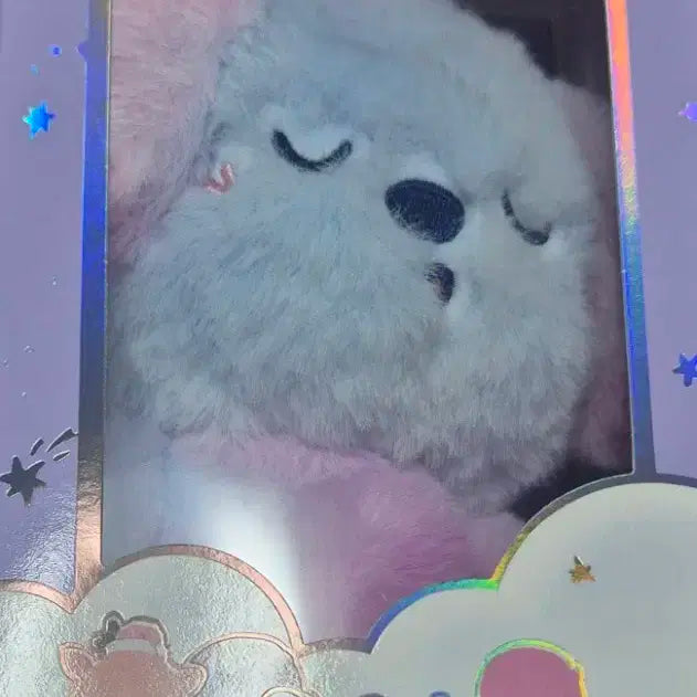 라이즈 보이스키링 멍룡이 위버스 B 버전