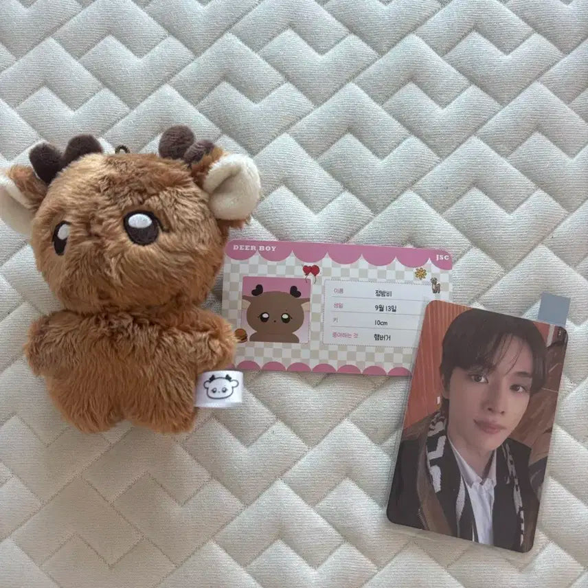 라이즈 성찬 인형 정밤비 양도