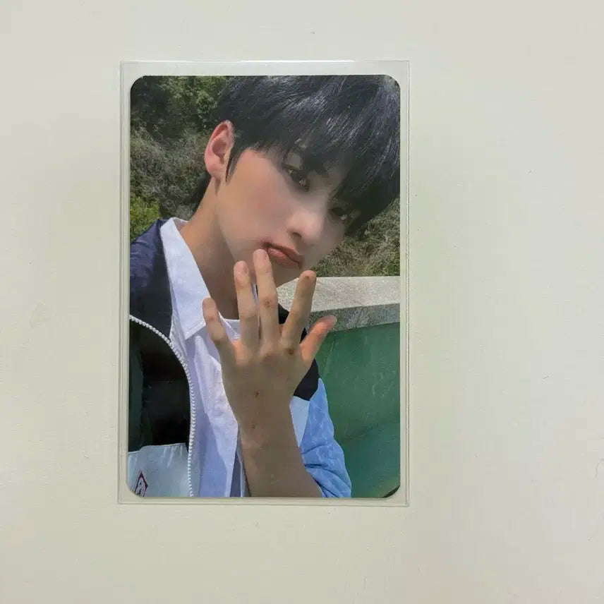 나우즈 NOWZ 윤 공방 포카 양도
