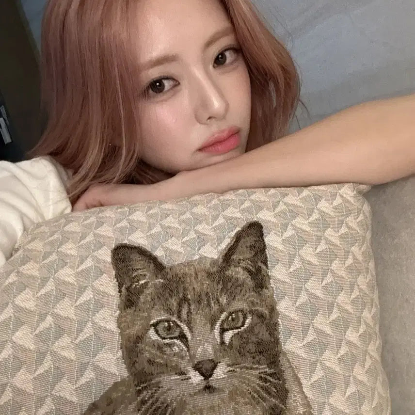 오류
