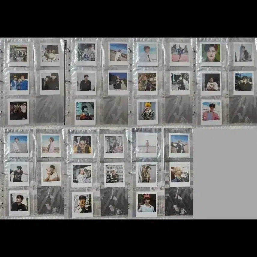 [일괄] 온앤오프 립스 폴라로이드 폴라