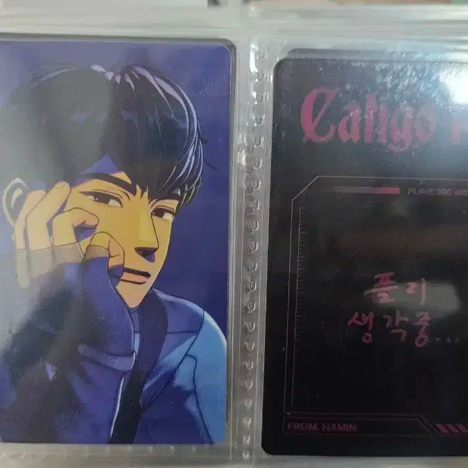 플레이브 포카 양도