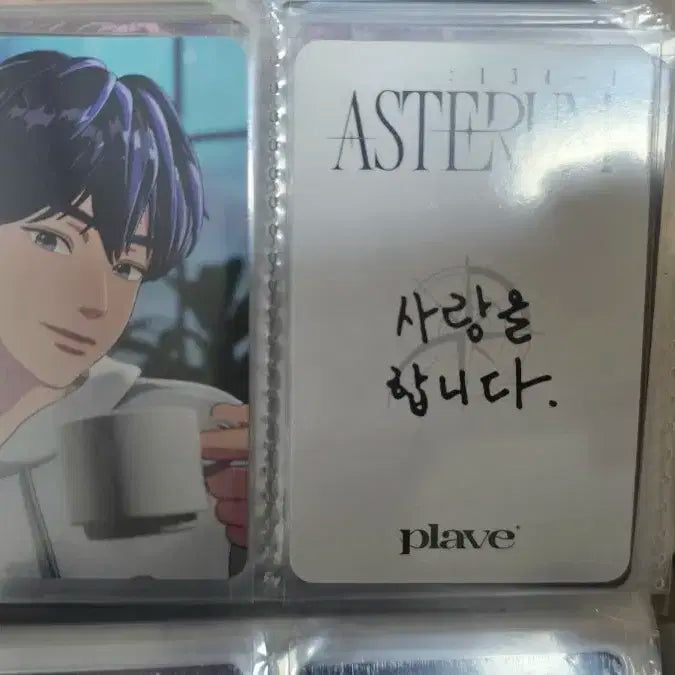 플레이브 포카 양도
