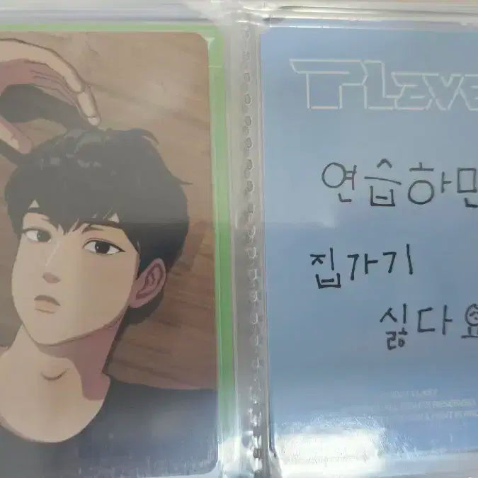 플레이브 포카 양도
