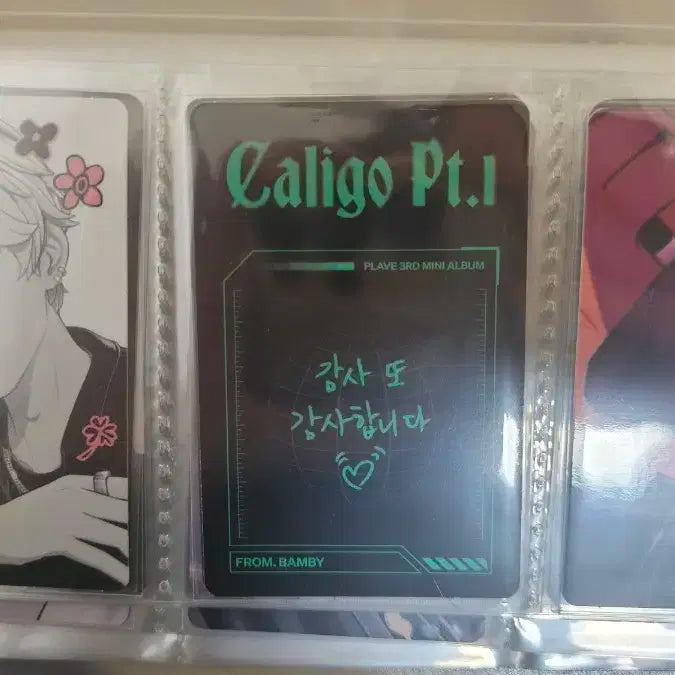 플레이브 포카 양도