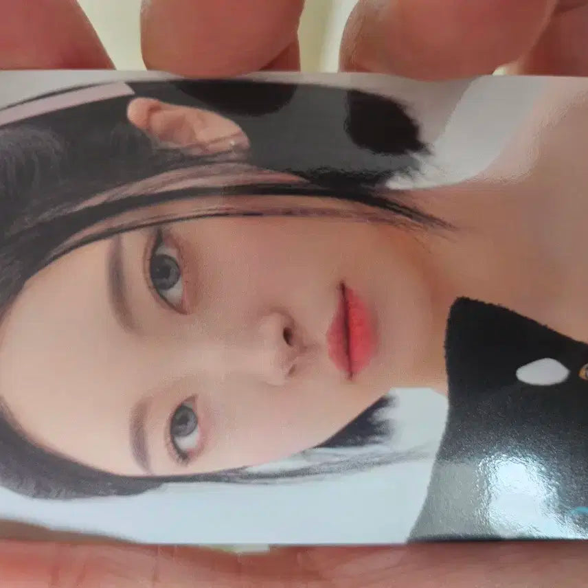 Smtown 2025 나비스 나이비스 패밀리버전 포카