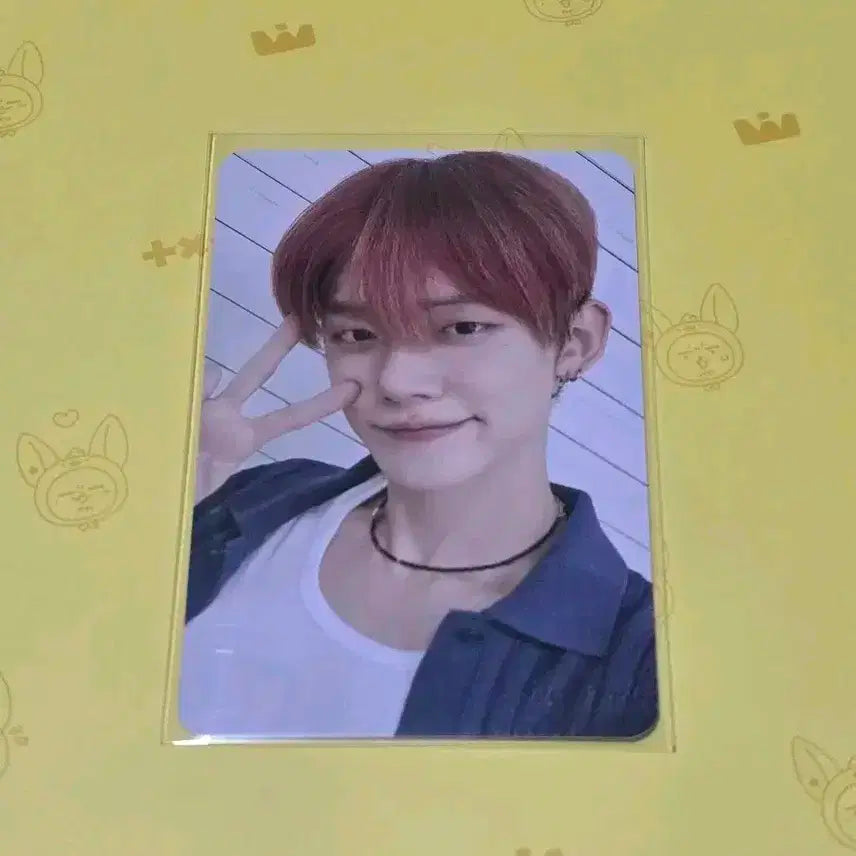 (연준) 생츄어리 디마뮤 특전
