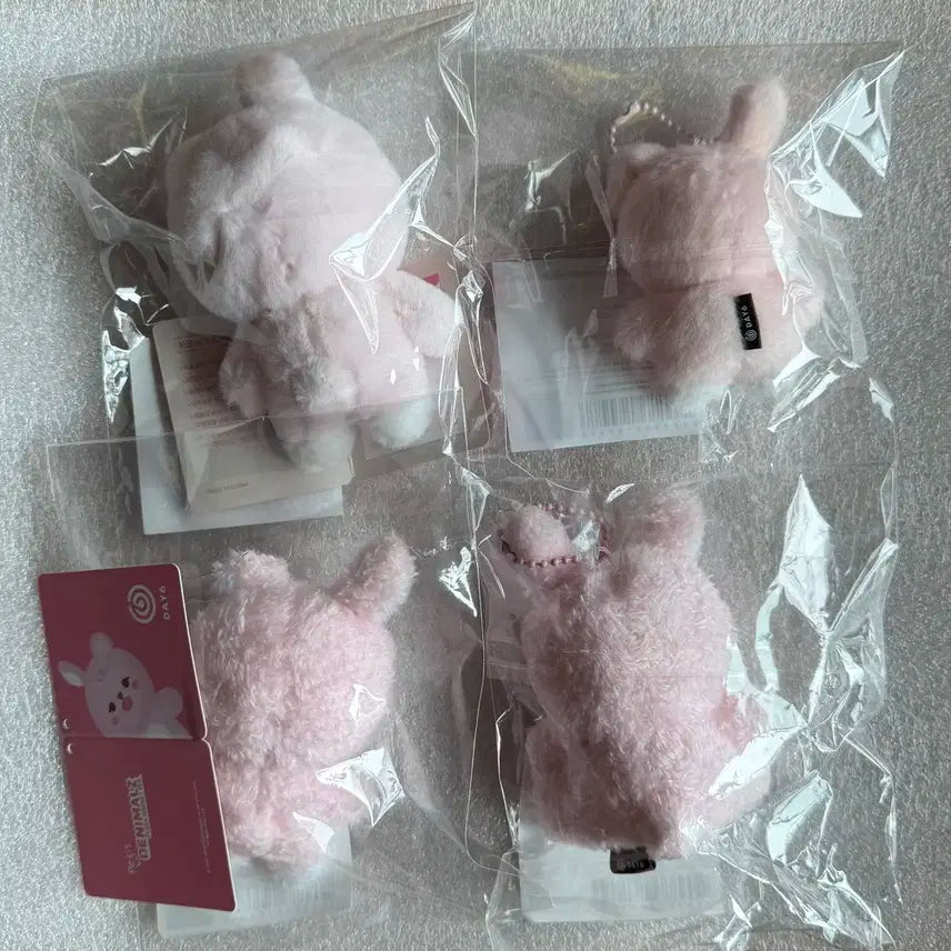 데이식스 데니멀즈 쁘띠멀즈 필 원필 일괄