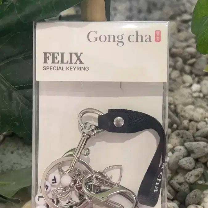 공차 필릭스 키링