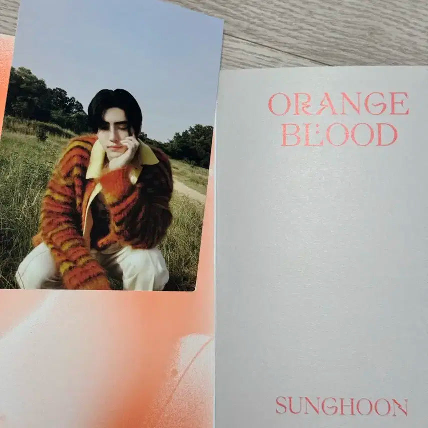 엔하이픈 오렌지블러드 엔진 버전 성훈