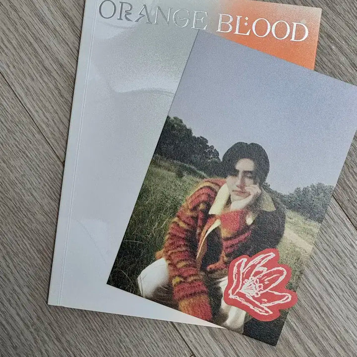 엔하이픈 오렌지블러드 엔진 버전 성훈