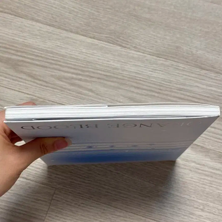 엔하이픈 오렌지블러드 개봉앨범