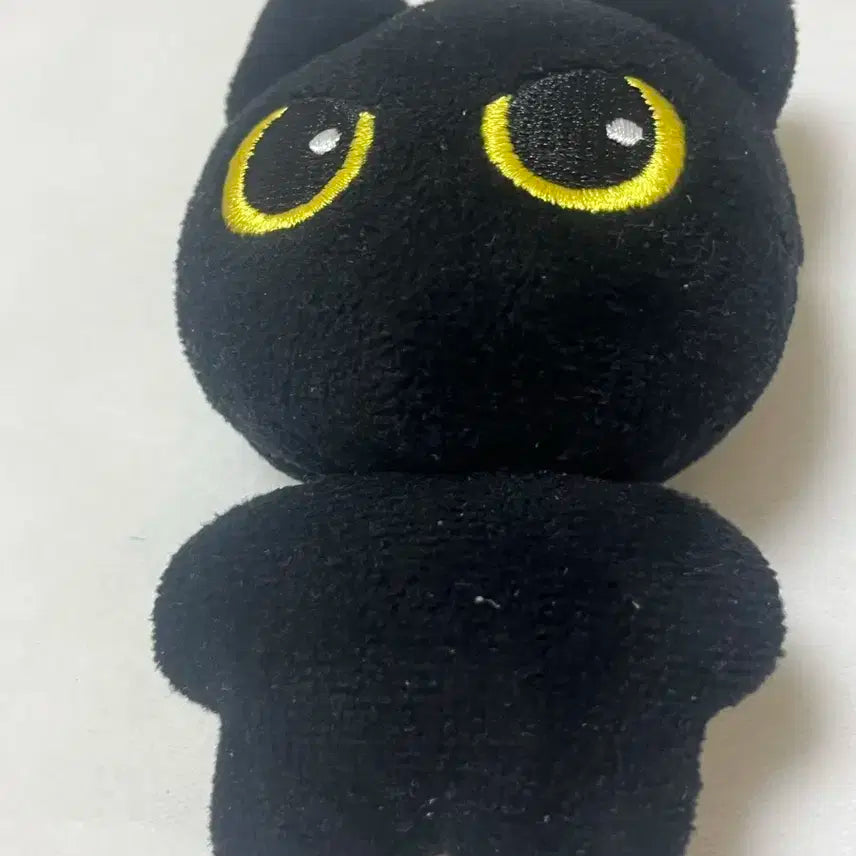 ateez 에이티즈 성화 밤떵냥