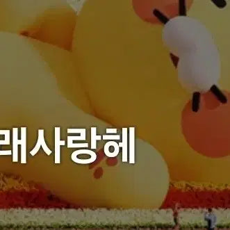 보이넥스트도어 베이비 포카 운학