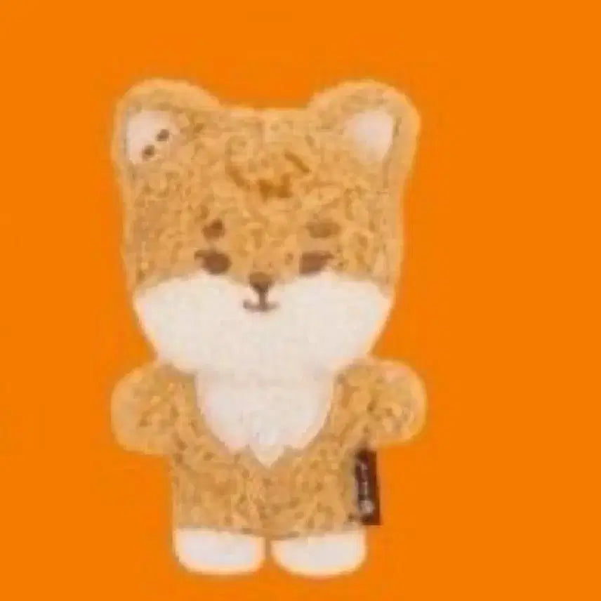 데이식스 데니멀즈 마그넷 케 케둥이