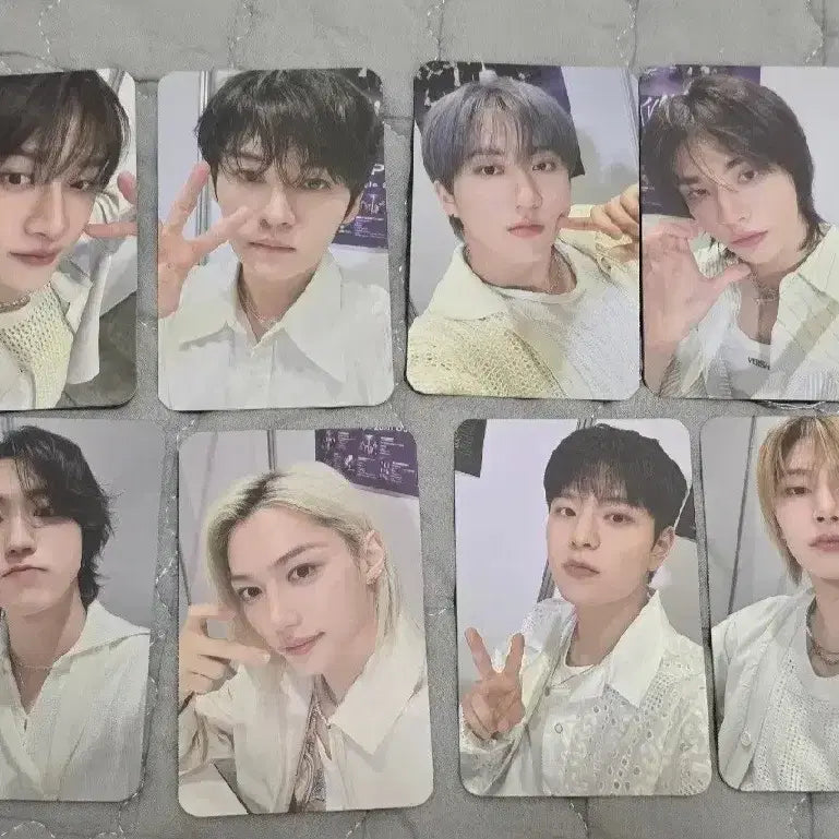 스키즈 스테이 일본 갱신 포카 fc