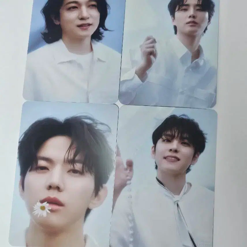 데이식스 팬미팅 트레카