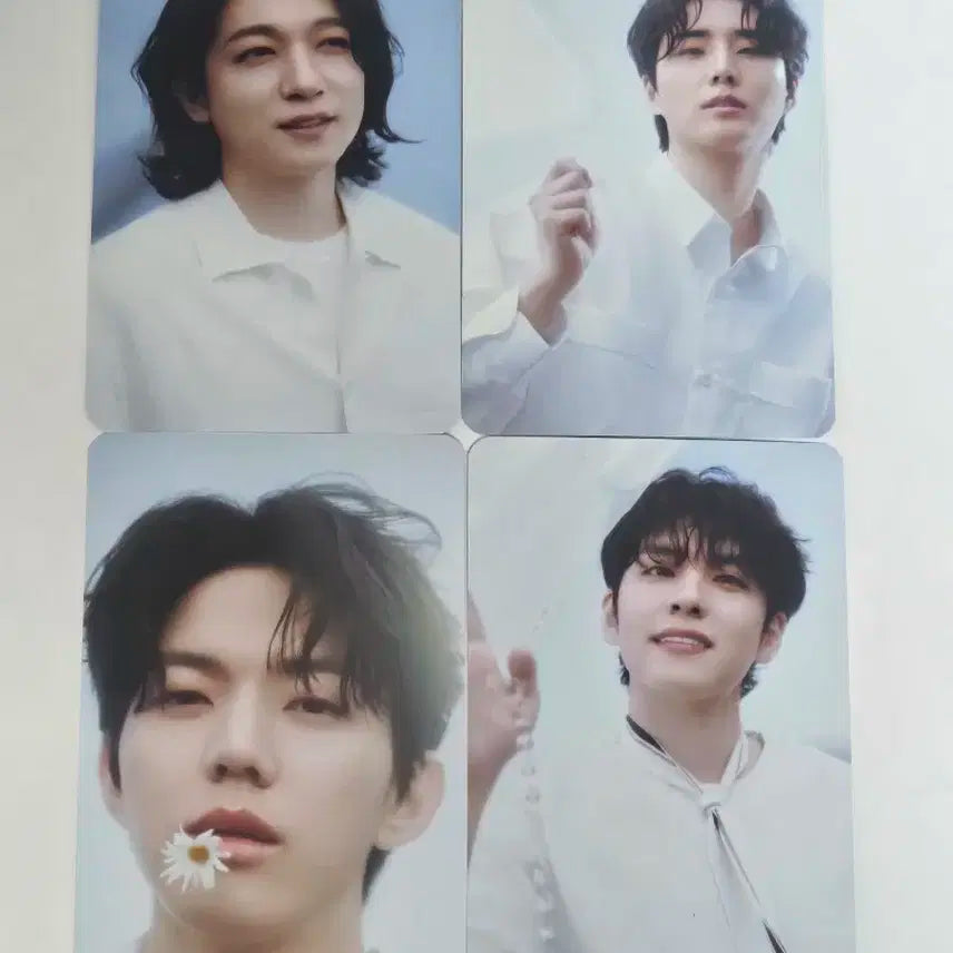 데이식스 팬미팅 트레카
