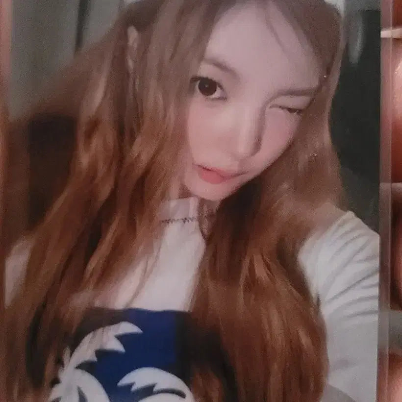 세이마이네임 공방 포토카드 양도