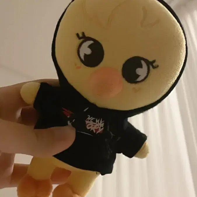 스트레이키즈 스키주 뽁아리 미니 양도