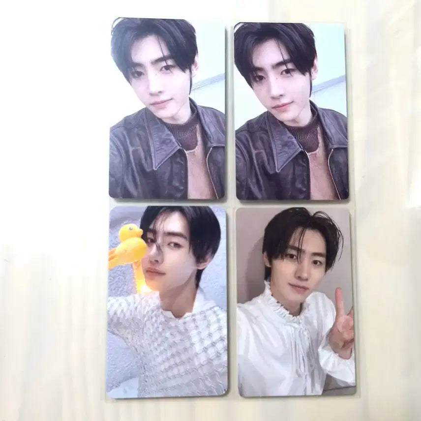 엔하이픈 성훈 포토카드 로맨스 언톨드 데이드림 디멘션