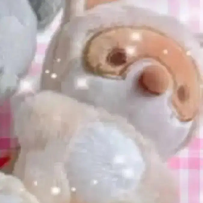 제로베이스원 장하오 인형 아가짱 하짱