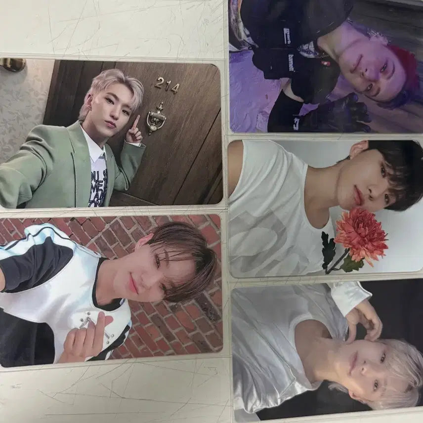 세븐틴 호시 포카 5장 일괄 양도