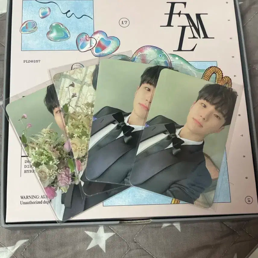 FML 캐럿반 호시