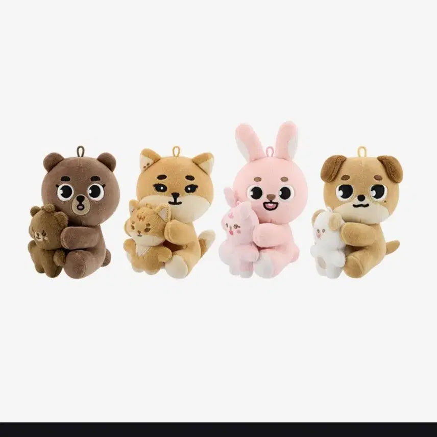 데이식스 마그넷 플러시 세트 방케필돈 양도합니다