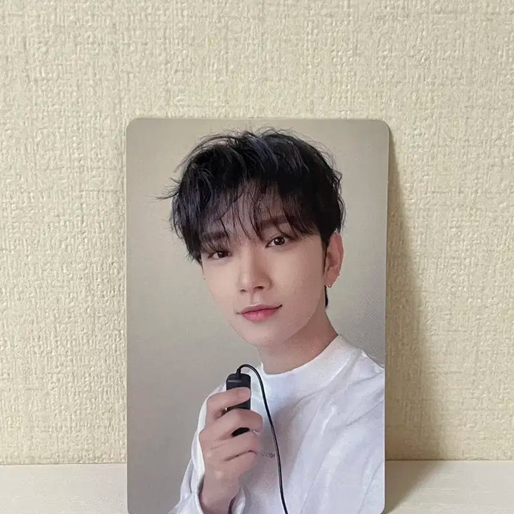 세븐틴 조슈아 히쟈나 캐럿반 포카