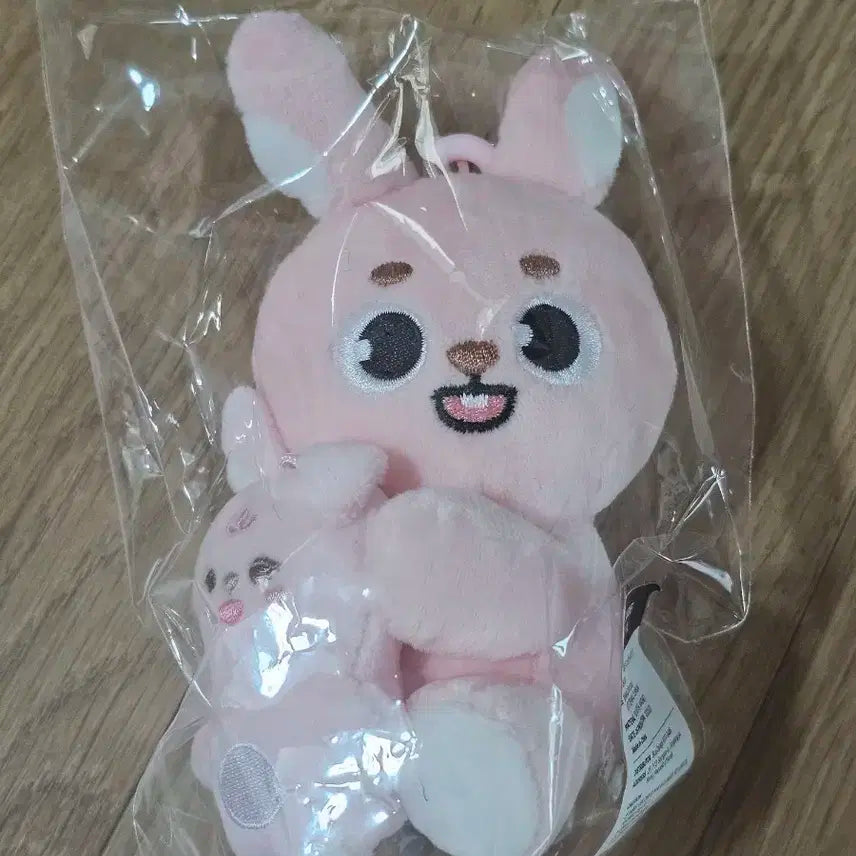 데이식스 데니멀즈 마그넷인형 자석 나안아 필 미개봉