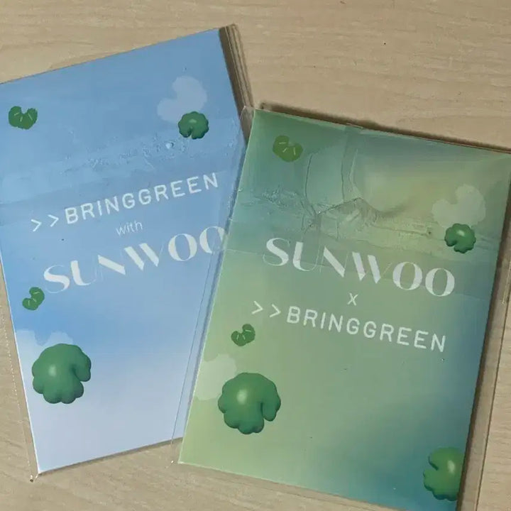 (일괄) 더보이즈 선우 브링그린 포카 풀구성