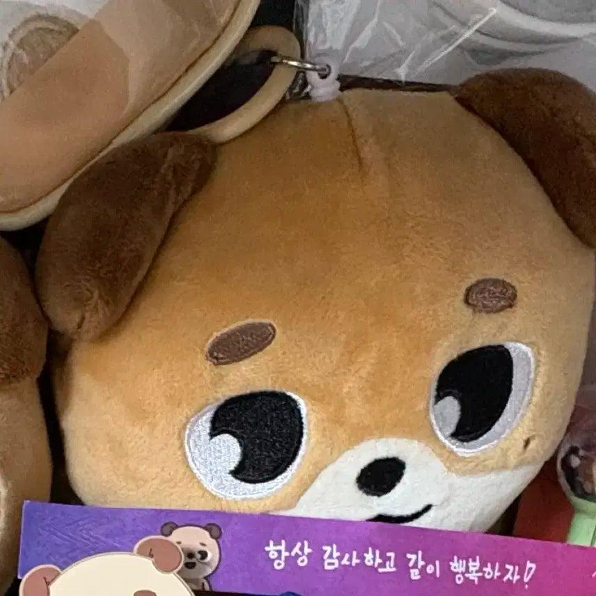 데이식스 데니멀즈 돈 릴패스 쁘띠멀즈 도운